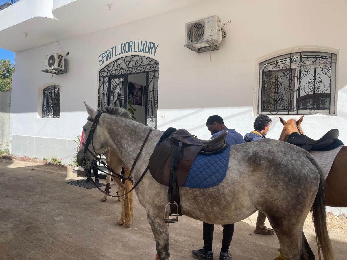 Spirit Luxor Luxury Apartment Ngoại thất bức ảnh